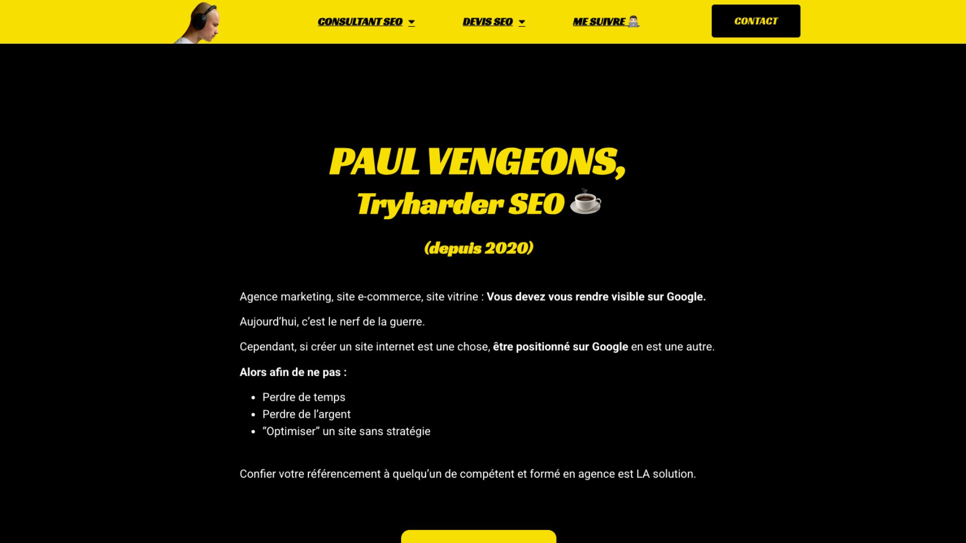 paul vengeons consultant seo