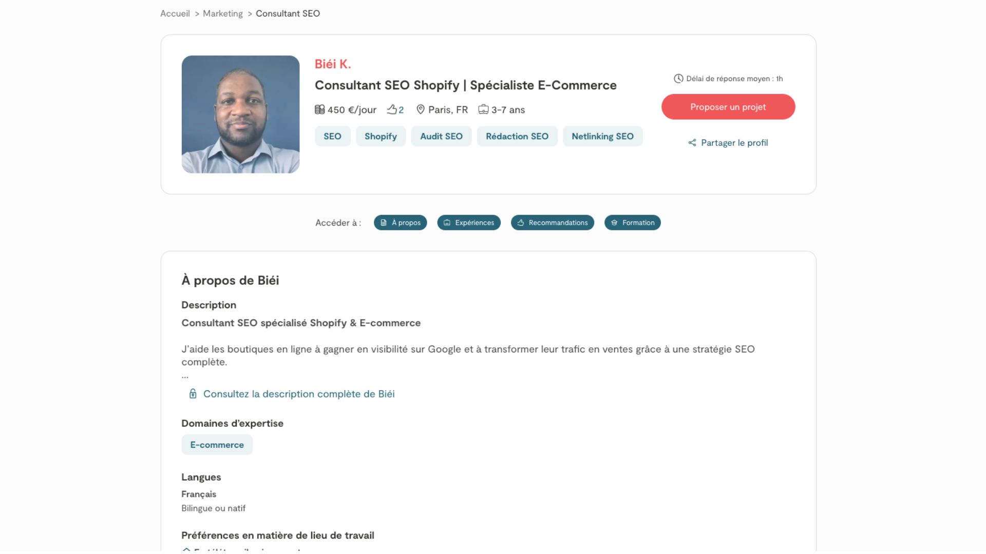 consultant seo shopify